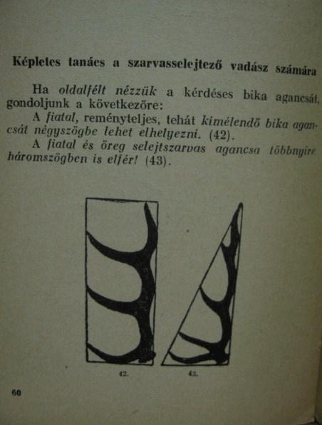 Széchenyi Zsigmond: A szarvas selejtezése