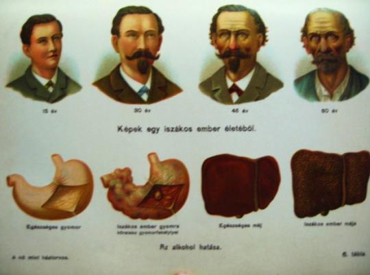 HUGONNAI Vilma,grófnő: A nő mint háziorvos. 1-2.