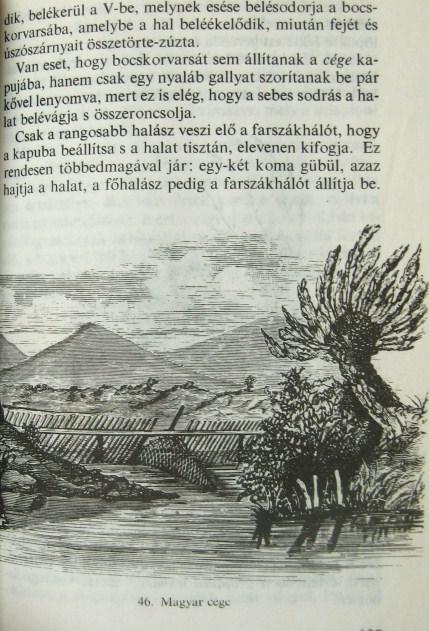 HERMAN Ottó: Halászélet, pásztorkodás.