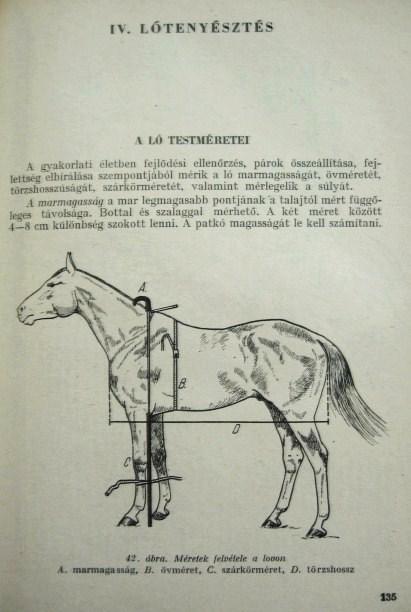 KECSKÉS-MENTLER-NÉMETH (szerk): Állattenyésztők kézikönyve.