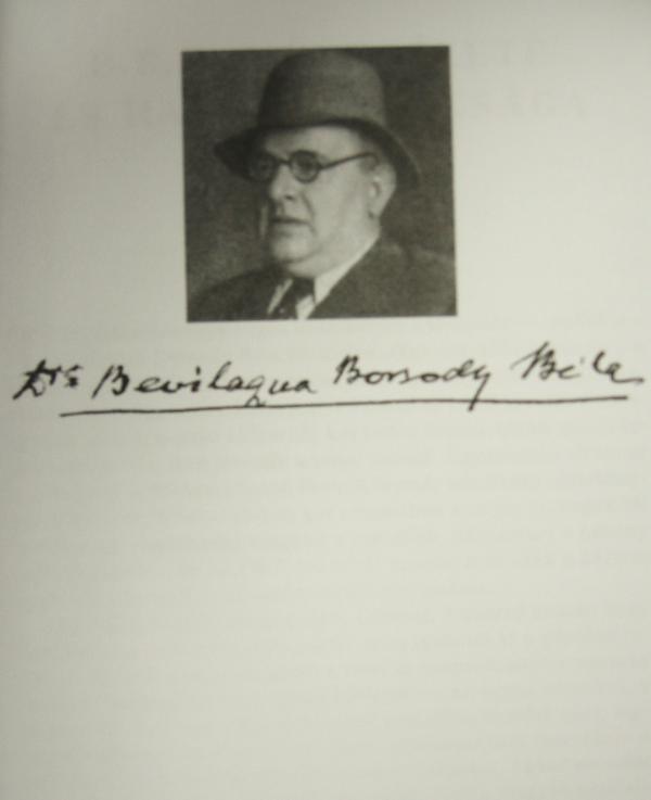 BEVILAQUA BORSODY Béla: A Víziváros.