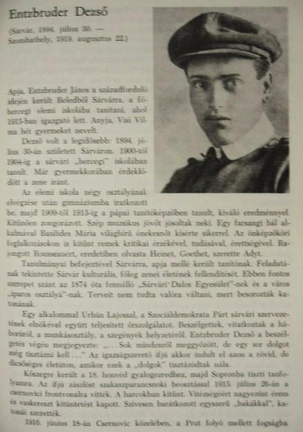 A Tanácsköztársaság Vas megyében. Tanulmányok.