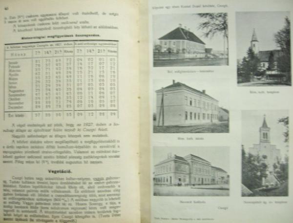 TÓTH Ferenc: (CSURGÓ-i) Járási monografia.