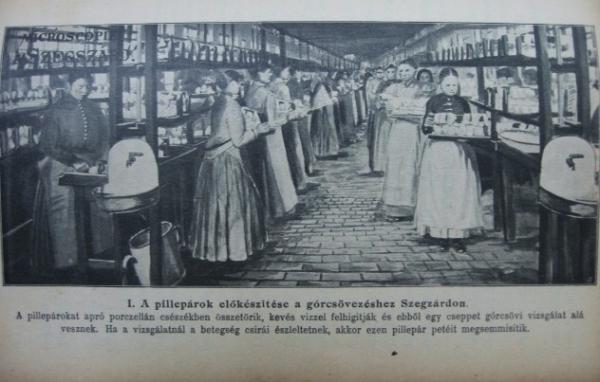 DOLENCZ József: A magyar birodalom selyemtenyésztésének ...