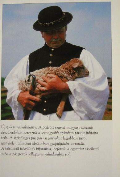 MÉSZÁROS László: A puszta.