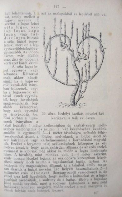 VARGHA Imre: A gyakorlati szőlőmívelés kézikönyve.