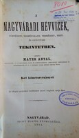 MAYER Antal: A nagyváradi hévvizek ...