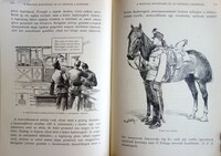  Kép megnyitása új böngésző lapon