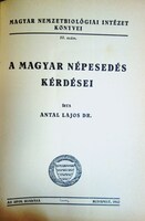 Kép megtekintése