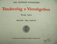 BÁTHORY Nándorné, özv: Tündérvilág a Városligetben.