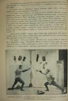 Kép megtekintése
