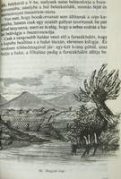 Kép megtekintése