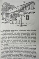 Kép megtekintése