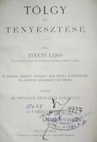 FEKETE Lajos: A tölgy és tenyésztése.