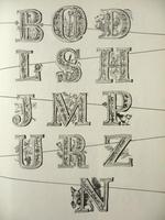 Kép megtekintése