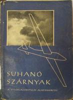 JEREB Gábor - SAJGÓ Győző: Suhanó szárnyak ...