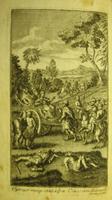 Kép megtekintése